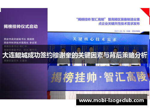 大连鲲城成功签约穆谢奎的关键因素与背后策略分析 大连鲲城成功签约穆谢奎的关键因素与背后策略分析