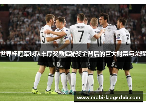 世界杯冠军球队丰厚奖励揭秘奖金背后的巨大财富与荣耀