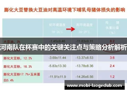 河南队在杯赛中的关键关注点与策略分析解析 河南队在杯赛中的关键关注点与策略分析解析