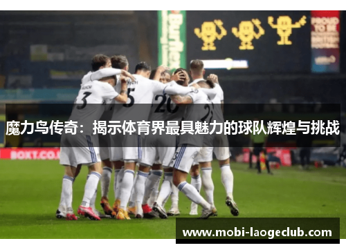 魔力鸟传奇：揭示体育界最具魅力的球队辉煌与挑战