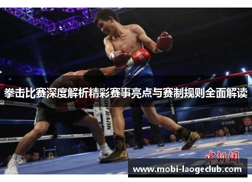 拳击比赛深度解析精彩赛事亮点与赛制规则全面解读