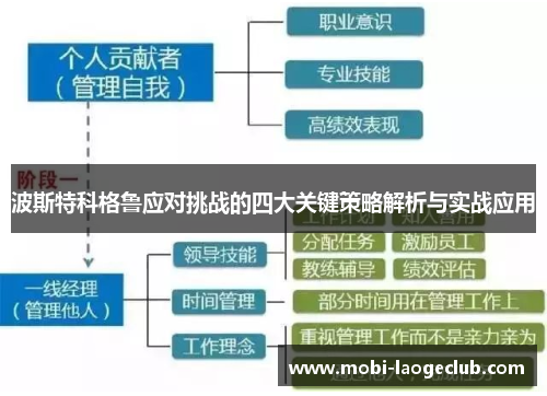 波斯特科格鲁应对挑战的四大关键策略解析与实战应用