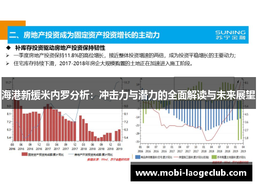 海港新援米内罗分析:冲击力与潜力的全面解读与未来展望 海港新援米内罗分析:冲击力与潜力的全面解读与未来展望