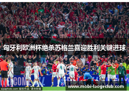 匈牙利欧洲杯绝杀苏格兰喜迎胜利关键进球