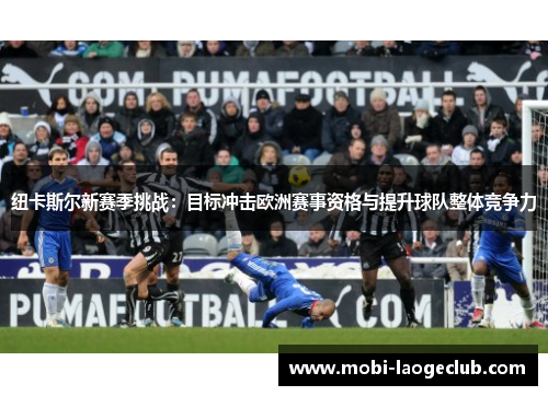 纽卡斯尔新赛季挑战：目标冲击欧洲赛事资格与提升球队整体竞争力
