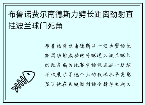 布鲁诺费尔南德斯力劈长距离劲射直挂波兰球门死角